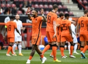 -关于芬兰队在欧预赛中以顽强毅力取得辉煌战绩的信息