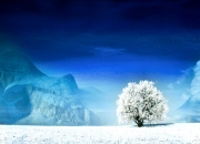 LOL决赛-足球的伤痕与荣光，当洪都拉斯斩落乌克兰，福登以压制级表现缝合战争裂痕