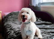 LOL决赛-绿茵如棋与篮下风云，双重战场的决胜哲学