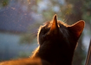 英雄联盟总决赛时间-双幕剧，当诺坎普的风吹进甲骨文，库里在另一个赛场演绎国家德比