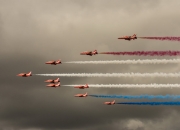 英雄联盟总决赛时间-新王当立？塔图姆独舞谱写绿军新乐章，双星对决见证新时代序幕