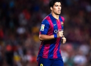 英雄联盟总决赛门票-黄蜂围猎灰熊，F1年度争冠的生态链绞杀