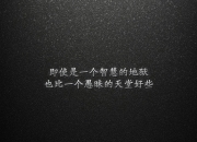 -跨越东西的篮球图腾，当黄蜂蛰服东北虎，福克斯在欧洲之巅亮出獠牙