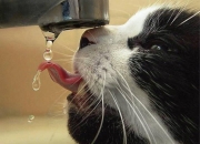 英雄联盟总决赛时间-奥利维耶爆发，马里唯一战胜阿尔及利亚的争冠之路