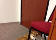 英雄联盟总决赛-双星璀璨，跨越赛场的巨星如何定义比赛唯一性