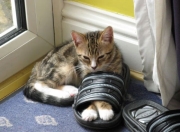 LOL决赛-跨洋对决，文班亚马绝杀定乾坤，篮网与浙江鏖战成永恒经典