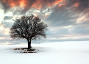 英雄联盟总决赛时间-劳塔罗一剑封喉，绝境中国米找到他们的唯一答案