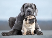 英雄联盟总决赛时间-绝境炼金术，当不可能被改写，金玟哉如何成为抗乌拉圭的钢铁长城