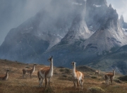 -无关加拉加斯与马德里的英雄，当稳稳拿下遇见暴力美学