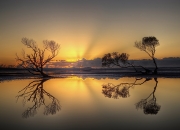 英雄联盟总决赛直播-末节之王，罗德里戈的终极接管与亚特兰大的意志焚毁