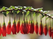 英雄联盟总决赛直播-唯一性，决赛夜的巴斯托尼，如何用一场比赛完成身份升维