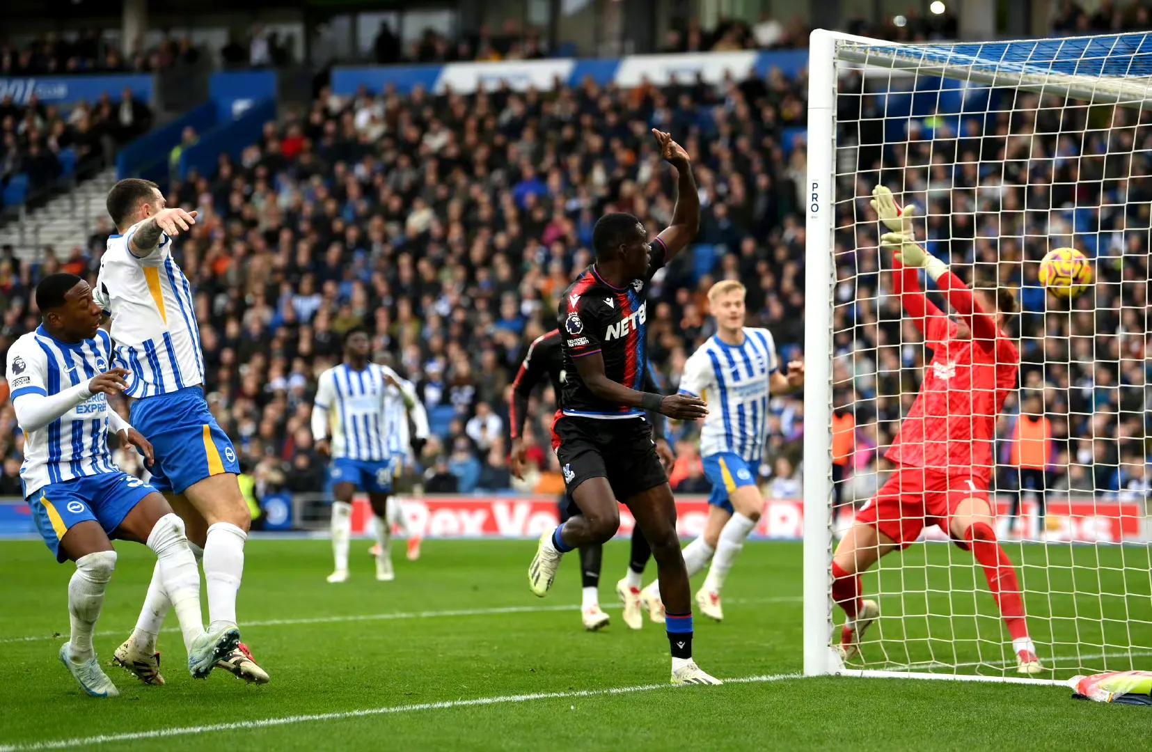 关于布莱顿主场不败继续保持稳定的信息