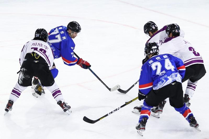 冰球再创历史，冠军实至名归的简单介绍