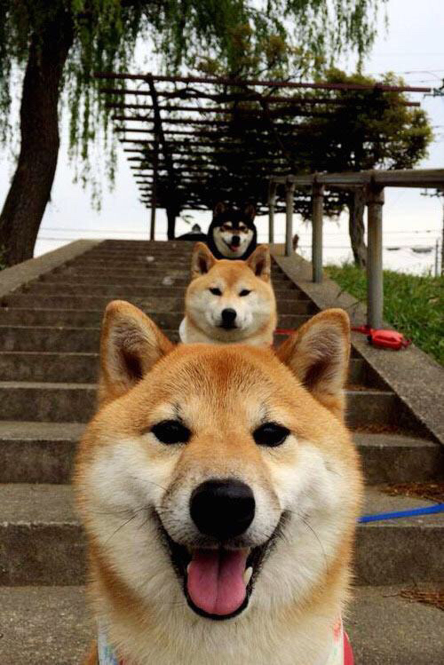 巨星破局VS群狼噬敌,穆勒闪光下的墨西哥风暴如何冲垮阿森纳体系