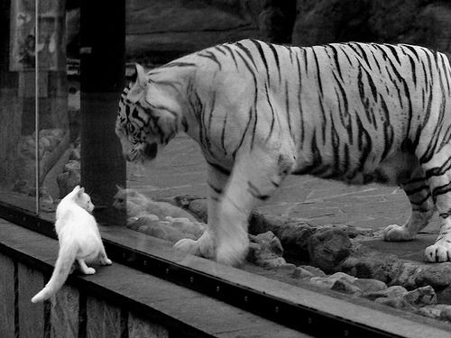 无星之夜,唯见孤月,凯恩于无声处扛起英格兰的漫漫长夜