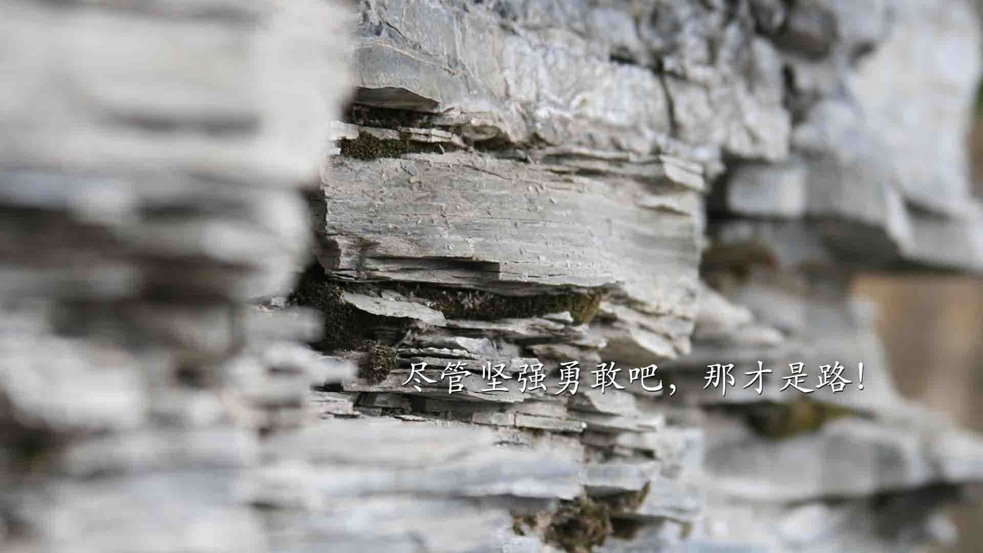 阿克闪耀圣西罗，曼联对阵AC米兰，荷兰铁卫全场最佳无争议