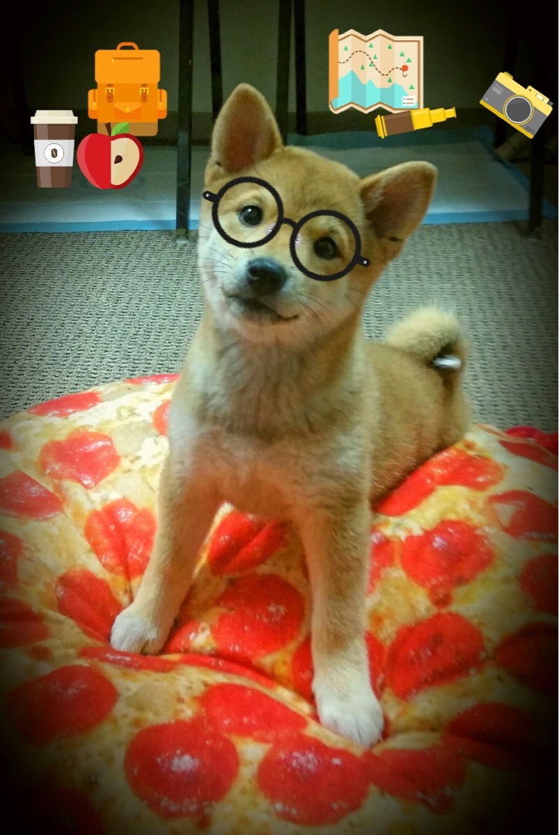 双星闪耀时空,从丰田中心到马尼拉—英格拉姆的统治力跨越赛场与未来