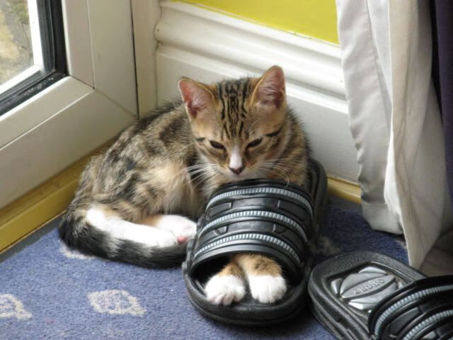 引擎轰鸣与变向急停,当F1街道赛成为莫兰特的绝对焦点