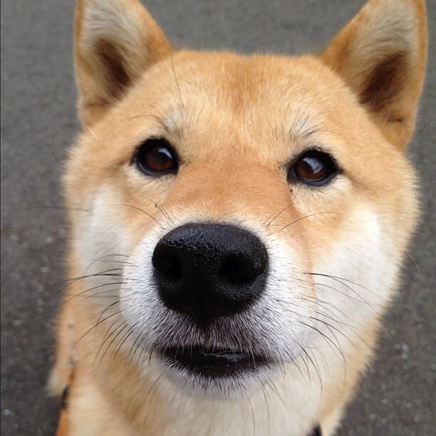 西甲隐形德比,皇马为何血拼巴拉圭元素?