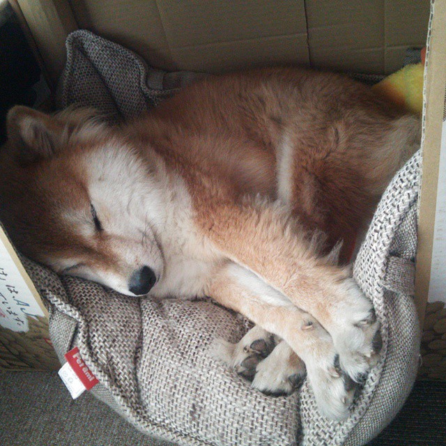 冰与火之歌，当大卫安哥拉斩落巨人英格兰，歌利亚内马尔在巴黎封神