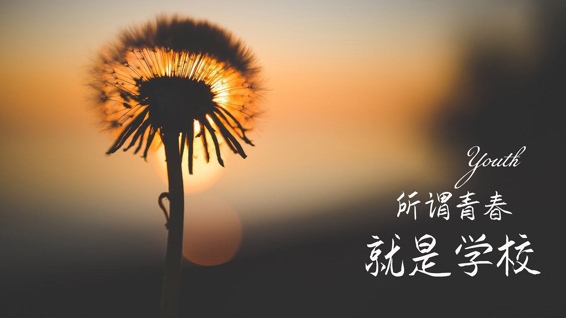 橙衣风暴，2026世界杯揭幕战，荷兰用流畅的攻守转换与阿方索的闪耀击碎奥地利