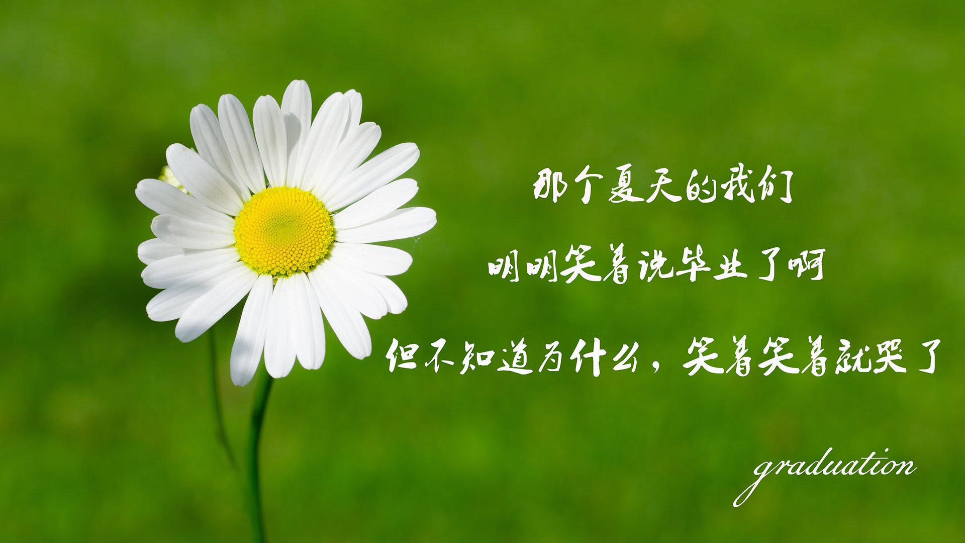宿命的齿轮，2026世界杯E组，瑞士与乌兹别克斯坦的暗战，以及罗德里戈那道无法复制的光